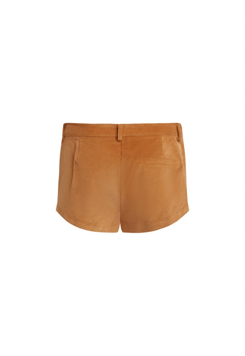 Brown Lioness Saddle Shorts | India-NYKLI2678