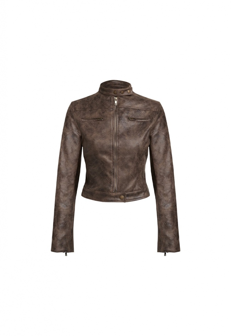 Chocolate Lioness Bella Moto Leather Jacket | India-LAVHY3278