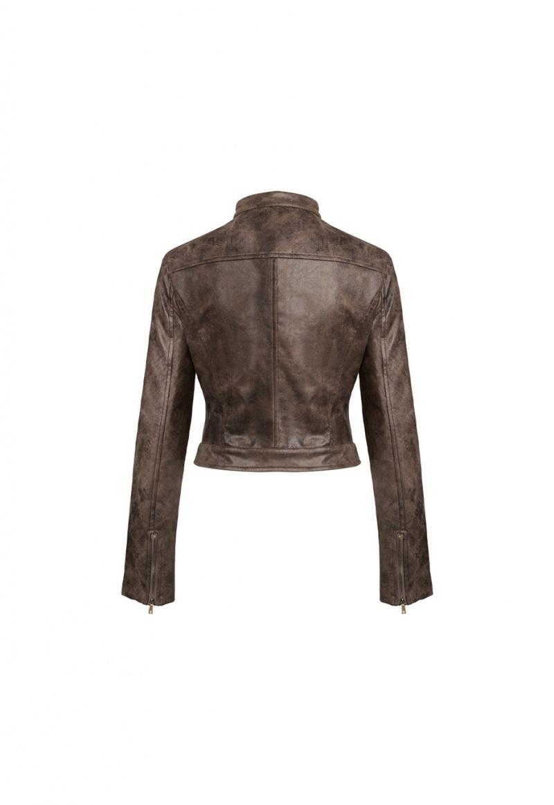 Chocolate Lioness Bella Moto Leather Jacket | India-LAVHY3278