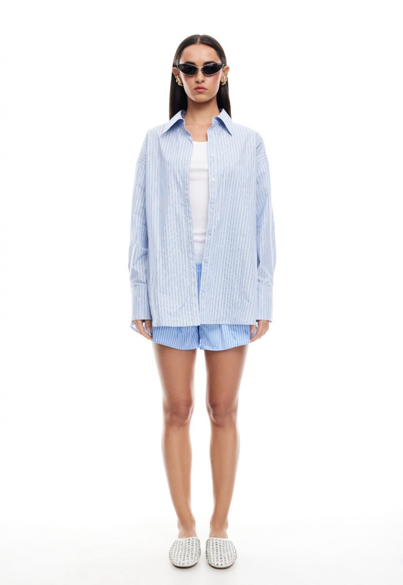 Light Blue Lioness Boyfriend Shirt | India-SLZEW9570