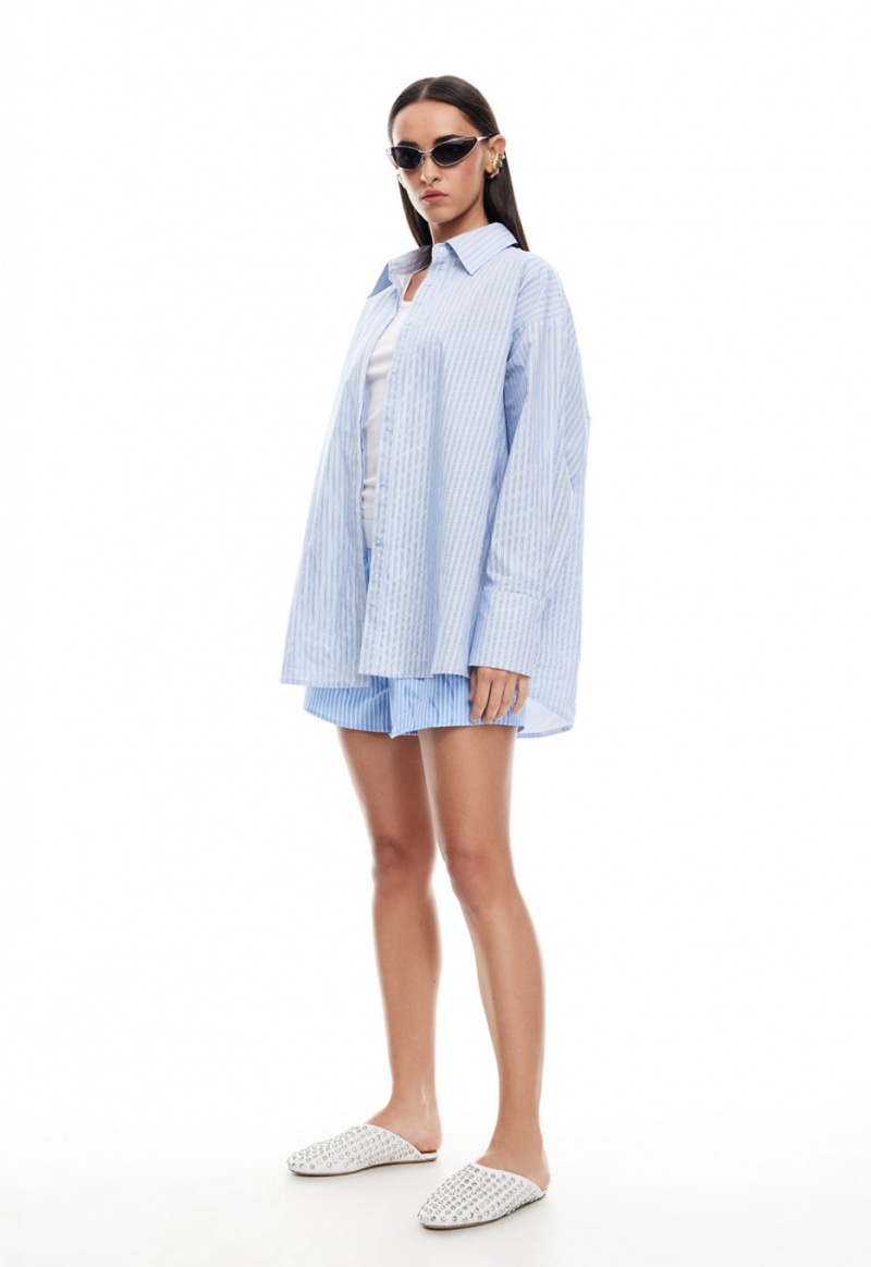 Light Blue Lioness Boyfriend Shirt | India-SLZEW9570